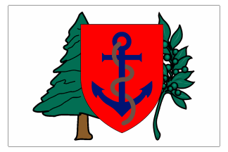 [Newburyport Independent Marine Company Flag]